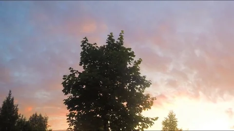 Beautiful view of summer park at sunset timelapse Stock Footage