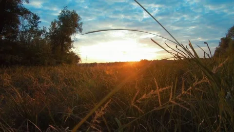 Beautiful view of the sunset in the afternoon Stock Footage 233332466