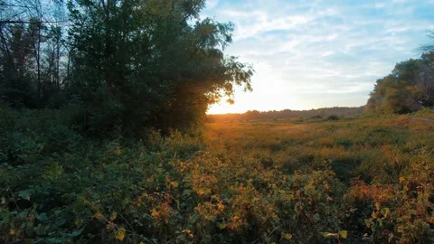 Beautiful view of the sunset in the afternoon Stock Footage 233333239