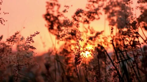 Beautiful View Of The Sunset In The Afternoon Stock Footage 234023937