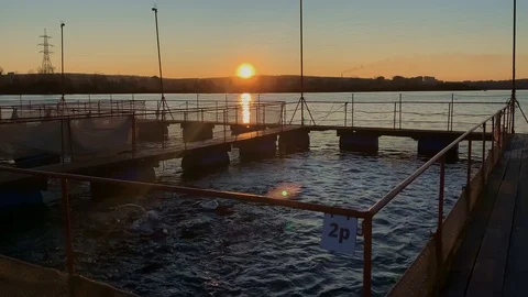 Beautiful view of sunset and river at fish farm on summer evening. 스톡 동영상 123081254
