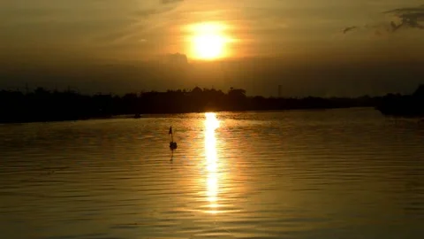 Beautiful view: sunset at the end of the river Video stock 236813739