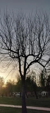 Beautiful view of the sunset 스톡 사진