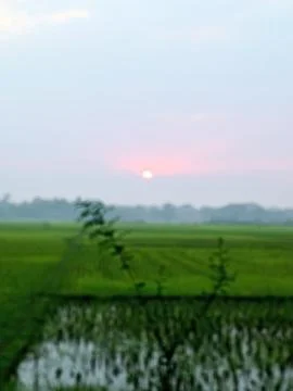 A beautiful view of the sunset Stock Photos