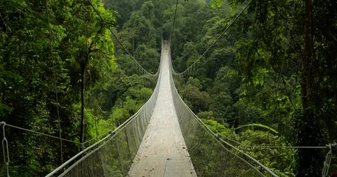 Beautiful view of suspension bridge Stock Footage 88322950