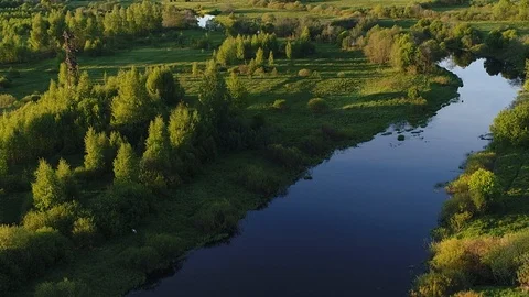 Beautiful view of swamp river surrounded by green pastures with stunning Video stock 117594353