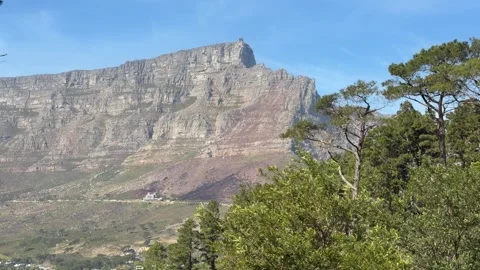 Beautiful view of Table Mountain’s rocky escarpment framed by pine trees from a Stock Footage 345289438