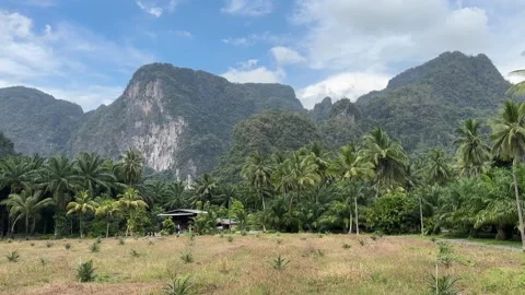 Beautiful view on Thai limestone cliffs covered with rainforest Stock Footage 277596457
