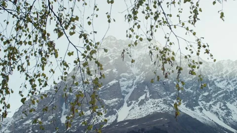Beautiful view through branches on mountain covered with snow and mist. Majestic Stock Footage 197587183