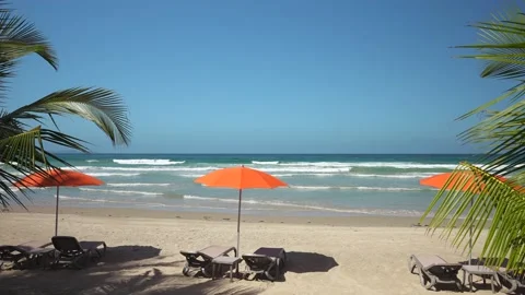 Beautiful view through the palm leaves to the beach with sun loungers and orange Stock Footage 227550341