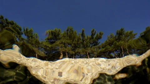 Beautiful view through the surface of the water Stock Footage 114701687