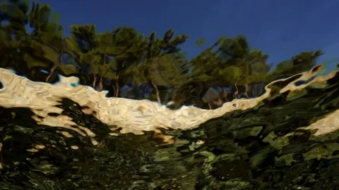 Beautiful view through the surface of the water Stock Footage 114701766