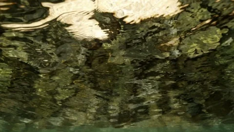 Beautiful view through the surface of the water Stock Footage 114702128