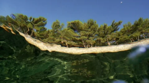 Beautiful view through the surface of the water Stock Footage 114702234