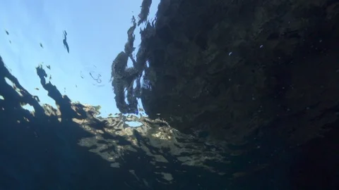 Beautiful view through the surface of the water Stock Footage 115111029