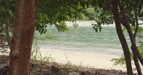 Beautiful view through the trees on the ocean. Costa Rica. Red Digital cinema.  Stock Footage 82462049
