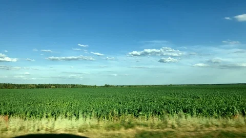 Beautiful view through the window of a car to a picturesque green landscape Stock Footage 111963733
