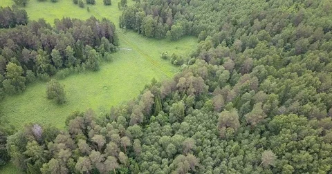 Beautiful view from the top to the forest road in summer Stock Footage 77493646