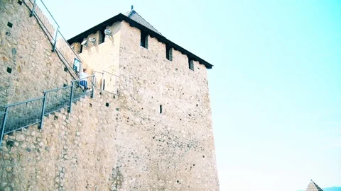 A beautiful view of the tower and the river Danube Stock Footage 125256193
