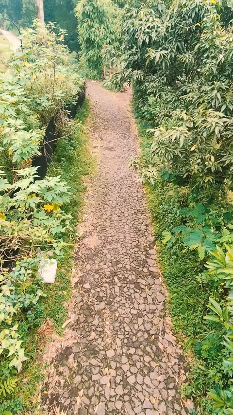 Beautiful view with trails  of the park 스톡 동영상 306755770