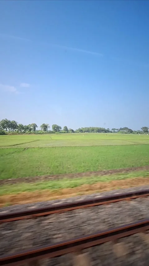 A beautiful view from the train. Stock Footage 319458907