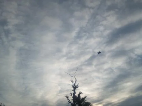 A Beautiful view of tree with white clouds Stock Photos