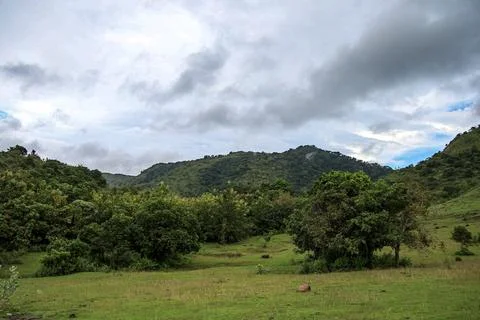 Beautiful view of trees with a cloudy sky in the background Stock Photos