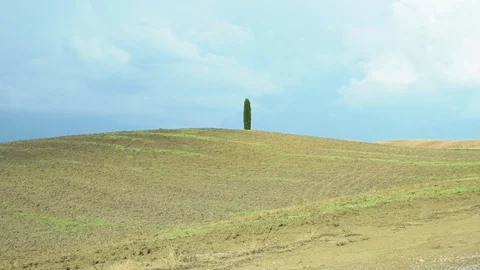 Beautiful view on tuscan fall landscape with a lonely cypress tree in the mid 스톡 동영상 99725252