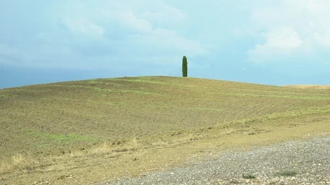 Beautiful view on tuscan fall landscape with a lonely cypress tree in the mid Vidéo 102216683