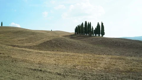 Beautiful view on tuscan plowed fields landscape in Italy Vidéo 98674113