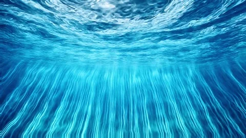 A beautiful view of the underwater world hit by sunlight. 4K Stock Footage 287693373