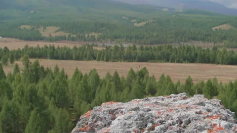 Beautiful view of valley Stock Footage 168156919