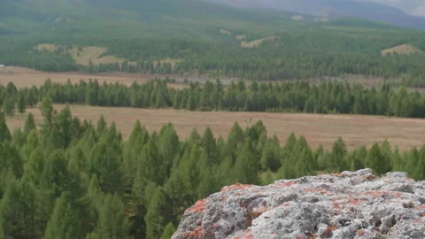 Beautiful view of valley Stock Footage 168363288