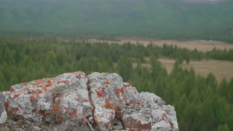 Beautiful view of valley Stock Footage 168441254