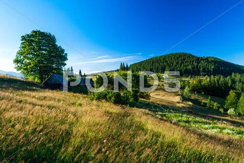 Beautiful view of village in Ukrainian Carpathian mountains Stock Photos