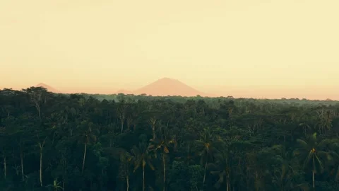 Beautiful view of the volcano at sunset through the palm trees, drone shot 4k Stockbeeldmateriaal 269550428