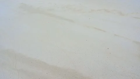 Beautiful view of the walking scene on the sandy beach. Stock Footage 159262834
