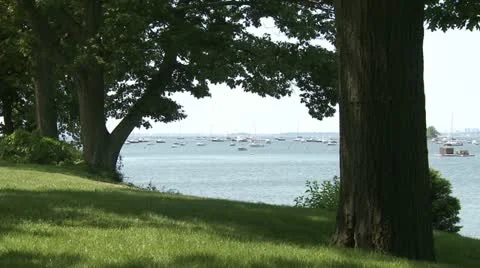 Beautiful view of water (5 of 5) Stock Footage 19659068
