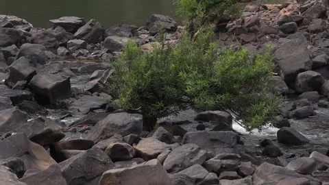Beautiful View of Water passes through the Rocks Stock Footage