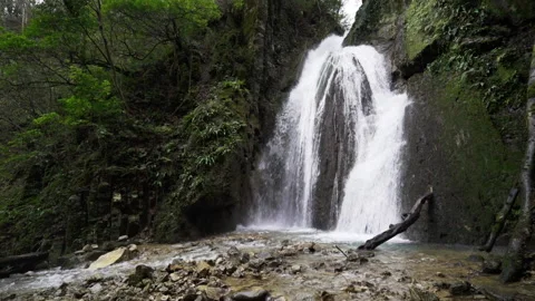 Beautiful view of waterfall falling through the rocks. Video stock 145240201