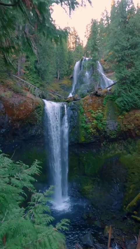 Beautiful view of waterfall in forest Stock Footage 274111137