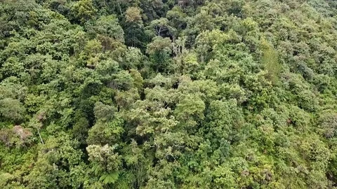 Beautiful view of waterfall landscape, Sumatra, Indonesia. 스톡 동영상 101900825