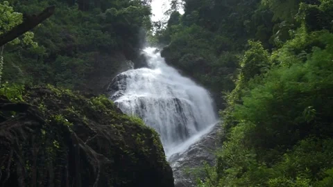 Beautiful view of waterfall surrounded by green trees seen from below Stock Footage 296739415
