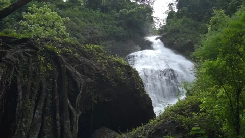 Beautiful view of waterfall surrounded by green trees seen from below Stock Footage 296739423