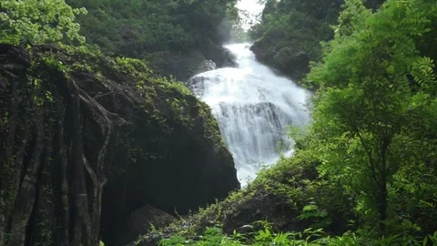 Beautiful view of waterfall surrounded by green trees seen from below Stock Footage 296739424