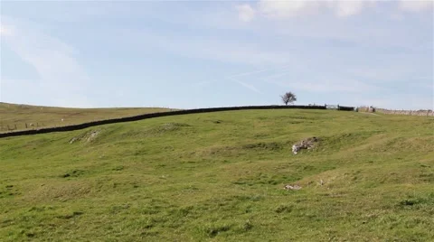 Beautiful View of Weaver Hills - Tree, Field, Countryside, Sunny Day &amp; Blue Sky Video stock 49070005