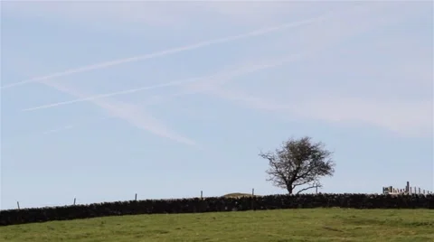 Beautiful View of Weaver Hills - Tree, Field, Countryside, Sunny Day &amp; Blue Sky 動画素材 49070664
