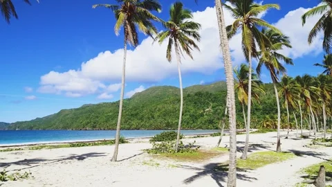 A beautiful view of the white sand beach, clear water and palm trees.  動画素材 244378859