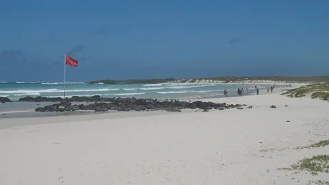Beautiful View Of The White Sandy Beaches Of Tortuga bay, Galapagos Stock Footage 116499862