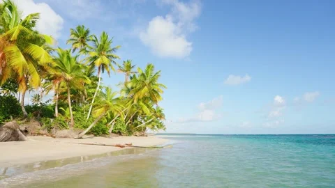Beautiful view of the wild Thai beach with golden sand and green palm trees. Stock Footage 244378744